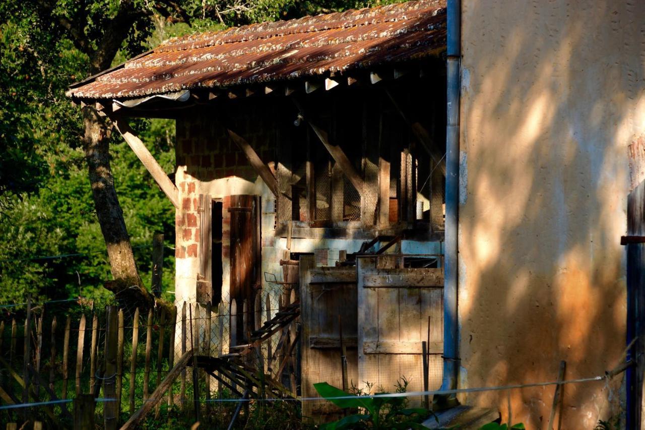 Souslens, Castaignos-Souslens 40 Bed & Breakfast Dış mekan fotoğraf