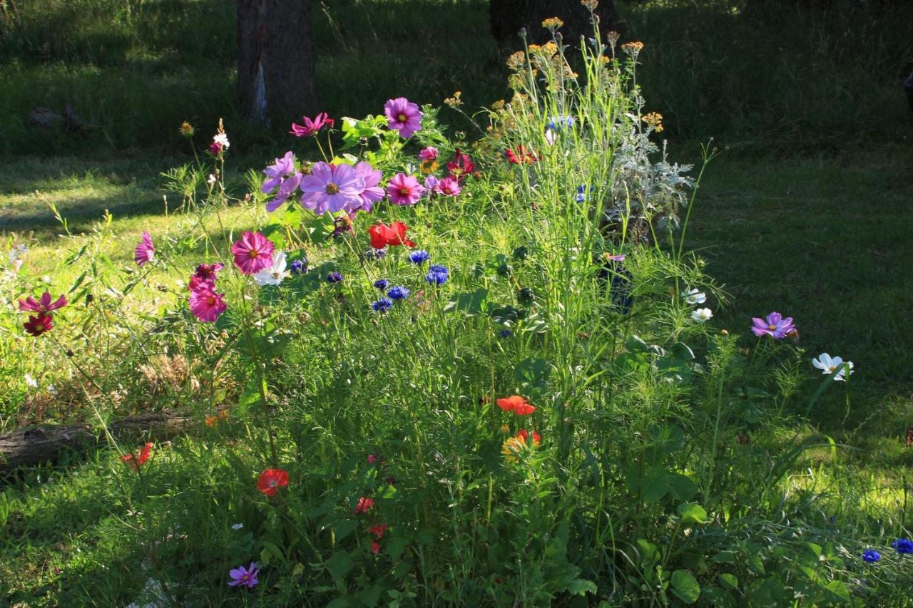 Souslens, Castaignos-Souslens 40 Bed & Breakfast Dış mekan fotoğraf